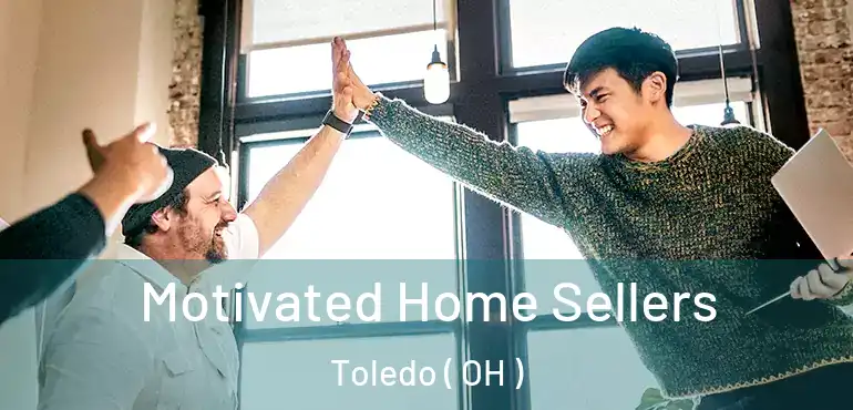  Motivated Home Sellers Toledo ( OH )