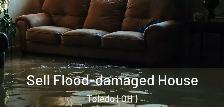  Sell Flood-damaged House Toledo ( OH )